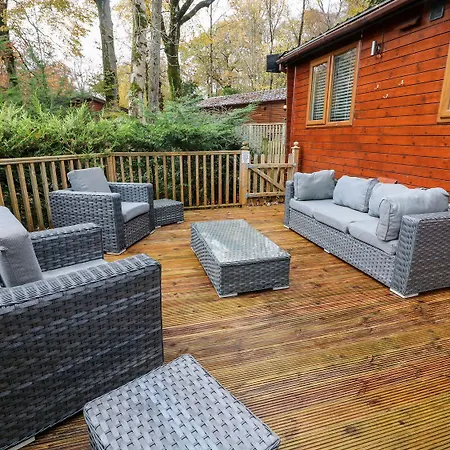 Tree View * Windermere